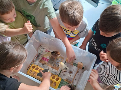 nasems_fotogalerie_foto (2)