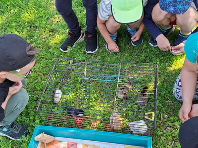 nasems_fotogalerie_foto (1)