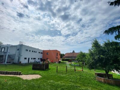 ce65ae1f-f0db-4ff2-8da4-76faef45de1d - kopie