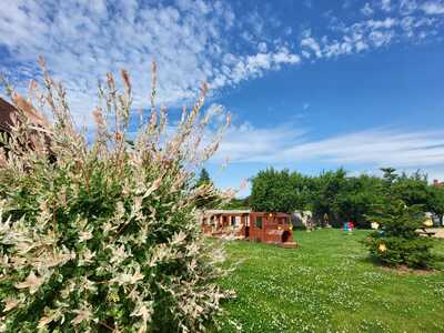 f645ba75-8e55-4c37-bd0c-739d814f03e3