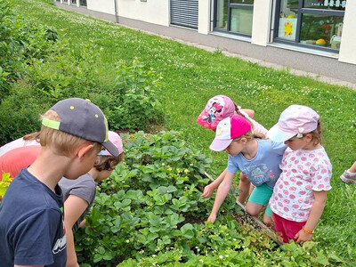 nasems_fotogalerie_foto-